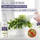 thumbnail image 5 of Insecticida para plantas liwang Plaguicida para insectos 100ml, 5 of 5