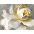 thumbnail image 2 of Abstract Rose Poster Print by Danhui Nai, 2 of 2