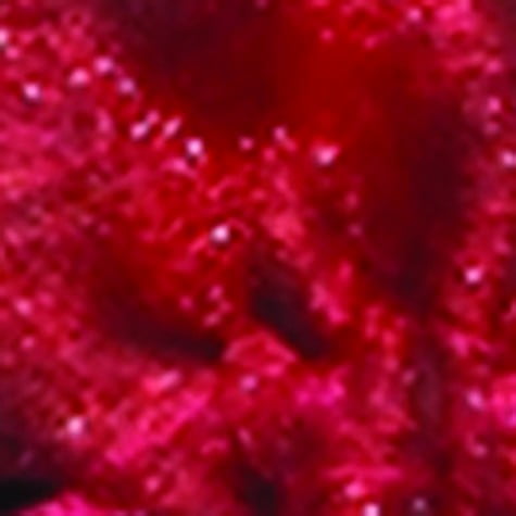 Club Pack of 36 Burgundy Tie Gift Bags 5.5" x 8"