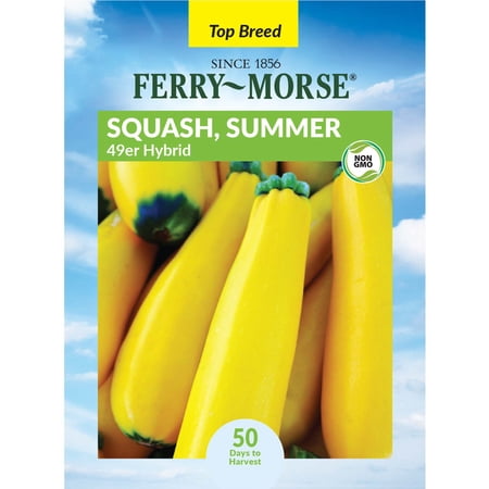 Ferry-Morse 2G Squash 49er Hybrid Annual Vegetable Seeds, Full Sun