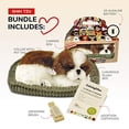 thumbnail image 2 of Perro de peluche Original Perfect Petzzz Shih Tzu realista, 2 of 2