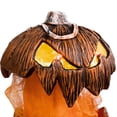 thumbnail image 3 of Calabaza Halloween JShteea Adornos Con Pilas Gadgets para Festivales, 3 of 9