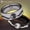 Black, variant on Xenomorph Tungsten Carbide Ring