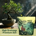 thumbnail image 6 of The Soil Sage 5qts/5l Premium Bonsai Mix - U.S.A. Made Ready to Use - Akadama, Pumice, Lava Rock, Pine Bark Fines - Large Bag for All Bonsai Tree Varieties - High Drainage Potting, Repotting, 6 of 8