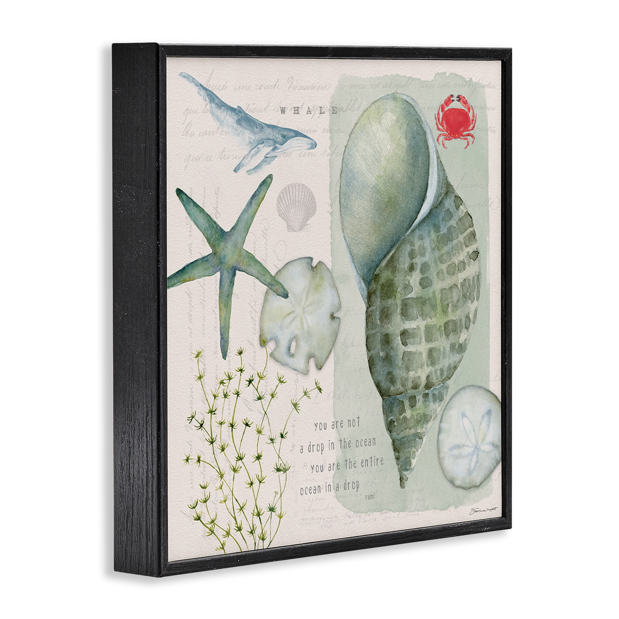 Stupell Industries Sea Shell Inspirational Collage Inspirational Painting Black Framed Art Print Wall Art, 17 x 17