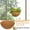 8in, variant on 8 Inch Liner Round Coir Hanging Basket Liners Natural Coconut Liners for Planters Coconut Basket Liners for Flowers Vegetables Indoor Outdoor Plants