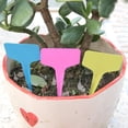 thumbnail image 3 of YAOMOBB Yard Labels Weather resistant Ground Insert Labels for Garden, 3 of 5