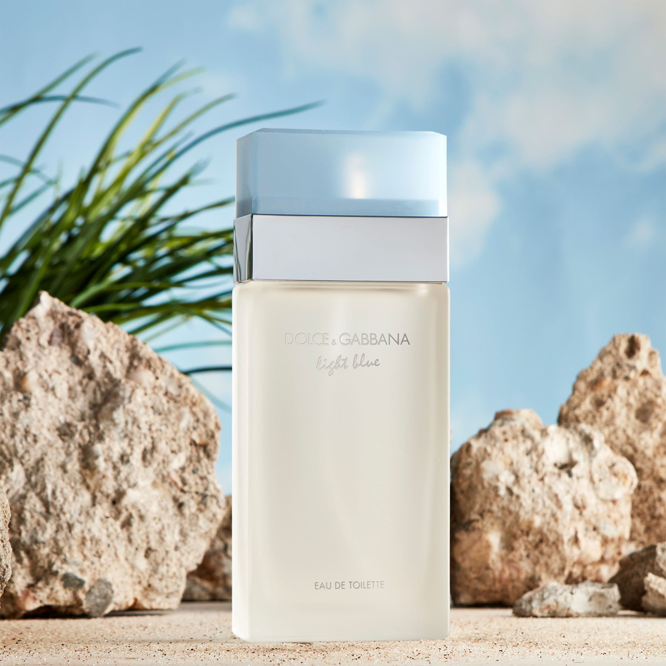 DOLCE&GABBANA 香水 LIGHT BLUE Dolce & Gabbana Light Blue Eau de Toilette Spray, Perfume