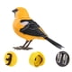 thumbnail image 3 of Robot Bird Electronic Bird Toy Juguete de Desarrollo Movimientos Realistas Figura de Juguete para Niños Y Niñas, 3 of 10