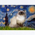 thumbnail image 2 of CafePress - Starry Night Himalayan Cat Infant Bodysuit - Baby Light Bodysuit, Size Newborn - 24 Months, 2 of 4