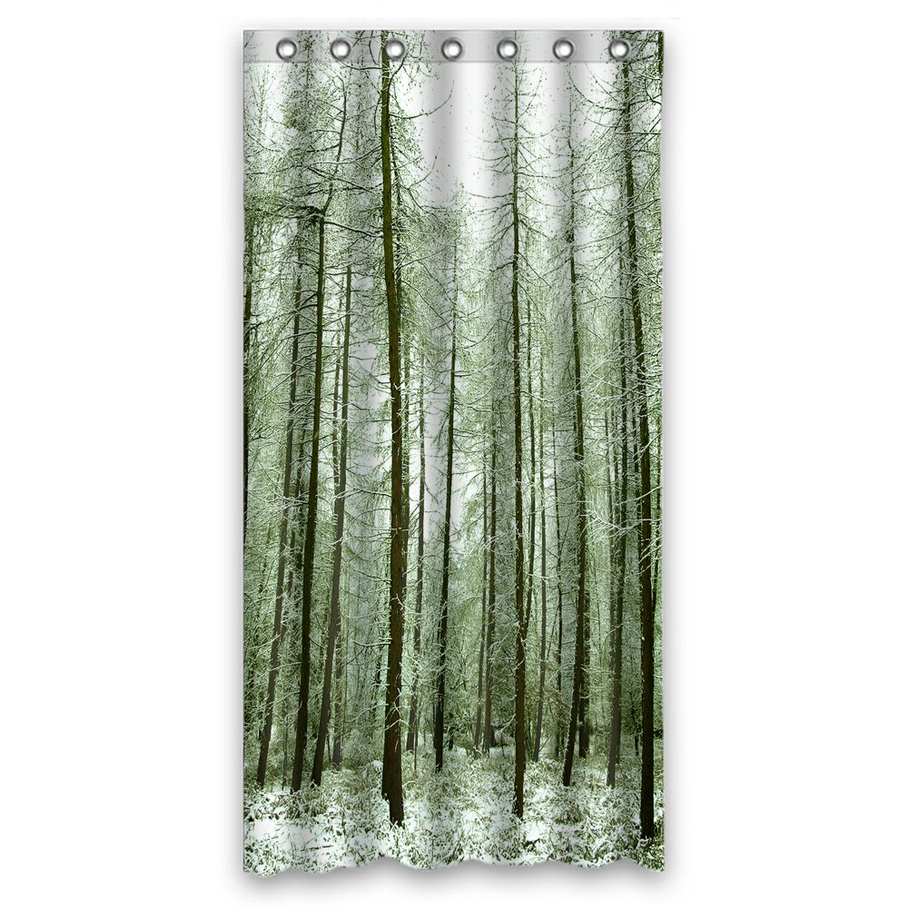 PHFZK Nature Shower Curtain, Winter Scene Snow Tree Trunks Forest
