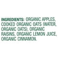 thumbnail image 6 of (4 pack) CoComelon Sprout Organic Baby Food, Stage 2 Pouch, Apple Oatmeal Raisin with Cinnamon, 3.5 Oz Pouch, 6 of 9
