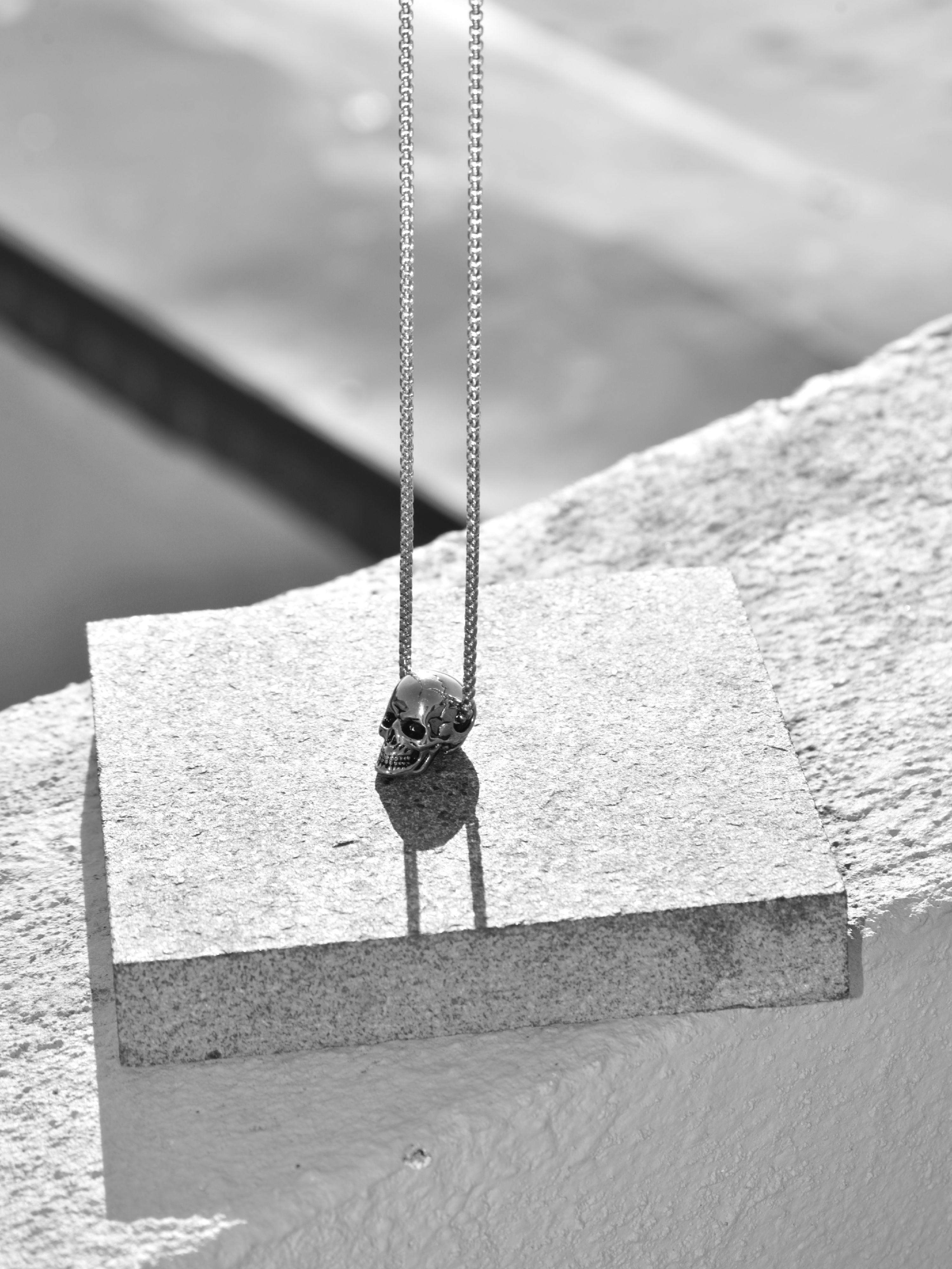 Ed Jacobs Silver Stainless Steel Skull 24" Necklace