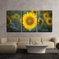 thumbnail image 2 of wall26 - 3 Piece Canvas Wall Art - Closeup of Sunflower in Field - Modern Home Art Stretched and Framed Ready to Hang - 16"x24"x3 Panels, 2 of 4