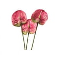 thumbnail image 1 of 3 Flores de Anturio Artificiales de 22.8 Pulgadas para DecoracióN del Hogar, Ramo y Hojas y DecoracióN de Boda Nupcial (Rosa), 1 of 5