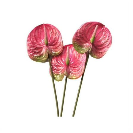 3 Pcs 22.8Inch Artificial Anthurium Flowers for Home Decor Bouquet and Green Leaf and y2584