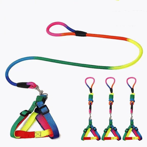 Adjustable Nylon Dog Leash, Colorful Braided Loop Rope for Small & Medium Dogs, Lightweight Walking Lead for Cats