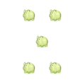 thumbnail image 1 of Caja de ahorro de dinero Naiovety PS Reutilizable Tapón extraíble Forma de animal transparente Verde S, 1 of 4