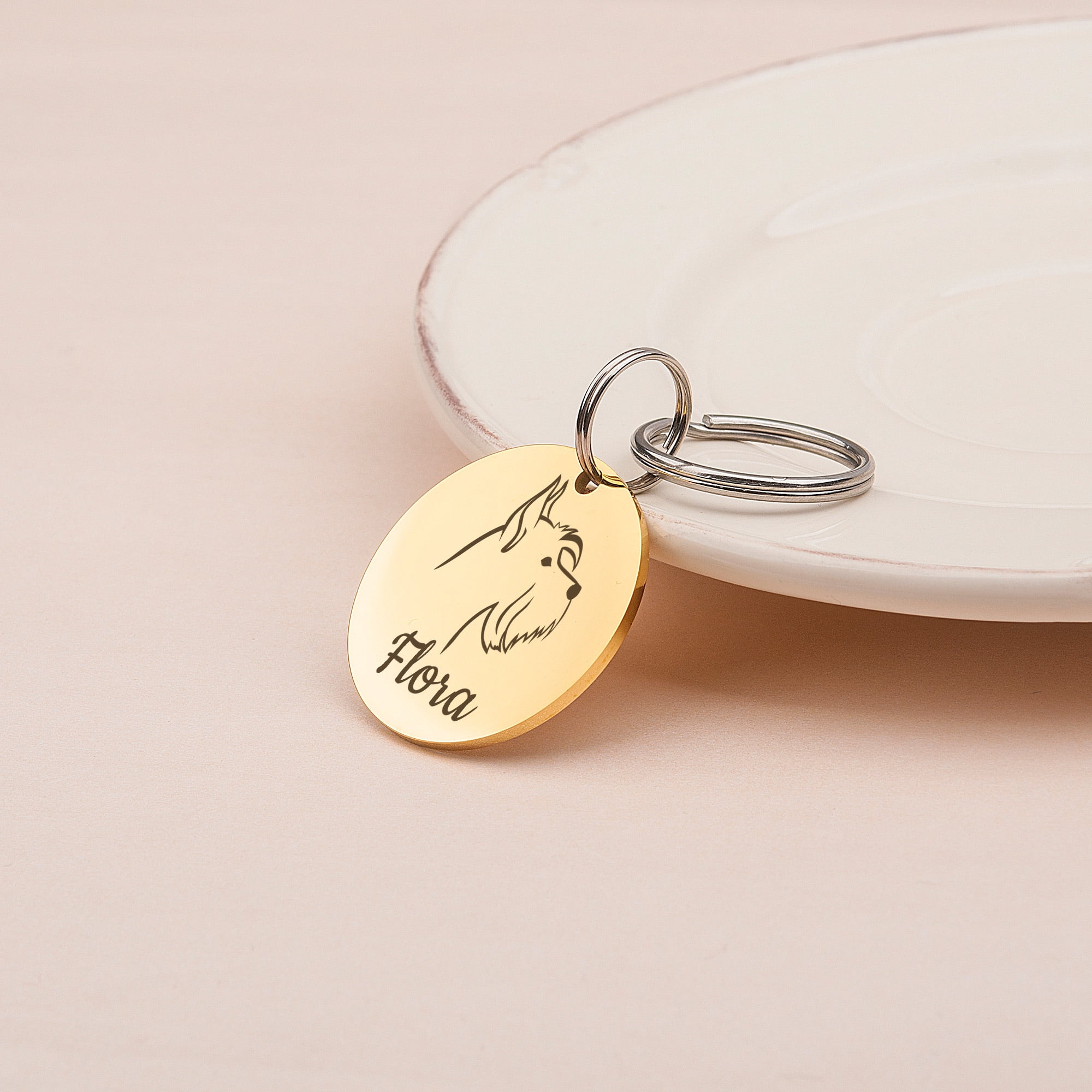 Anavia Metal Stainless Steel Round Name - Dog Icon Birthday Holiday Christmas Engraved Dog ID Tag, Gold