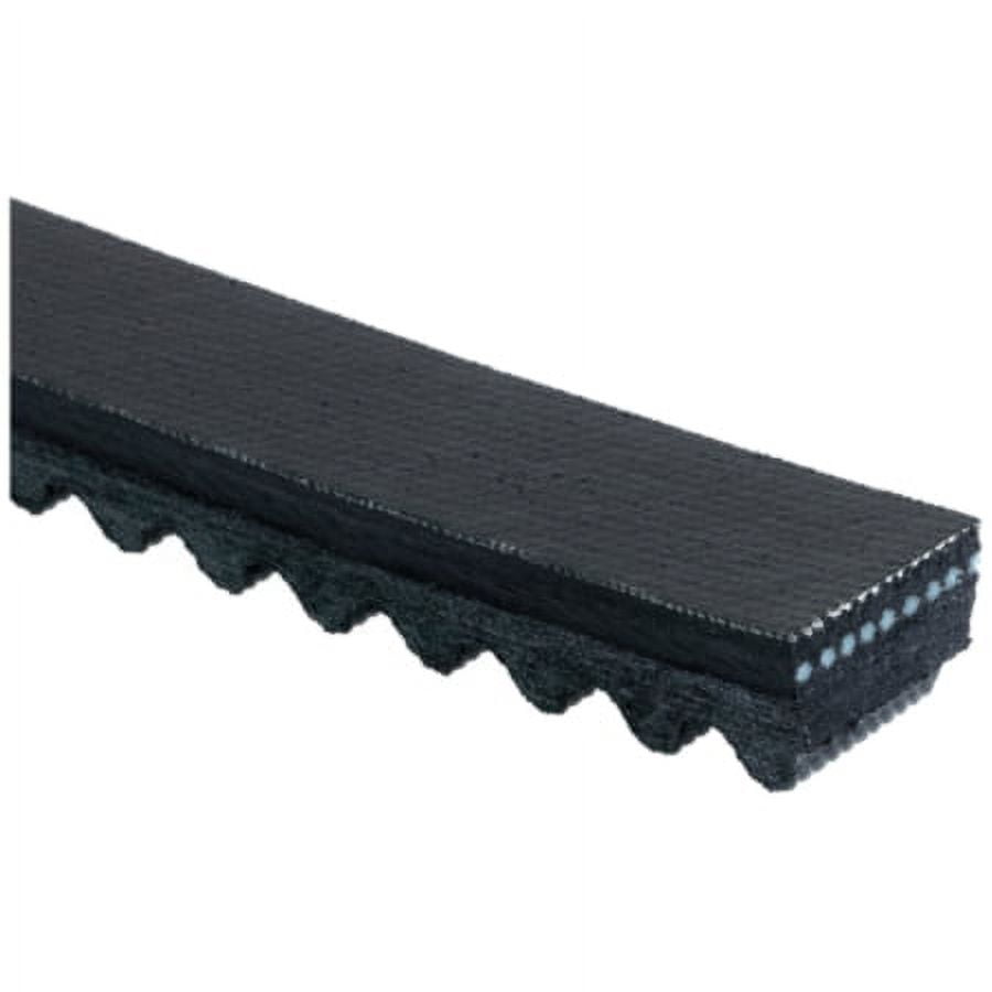 Accessory Drive Belt