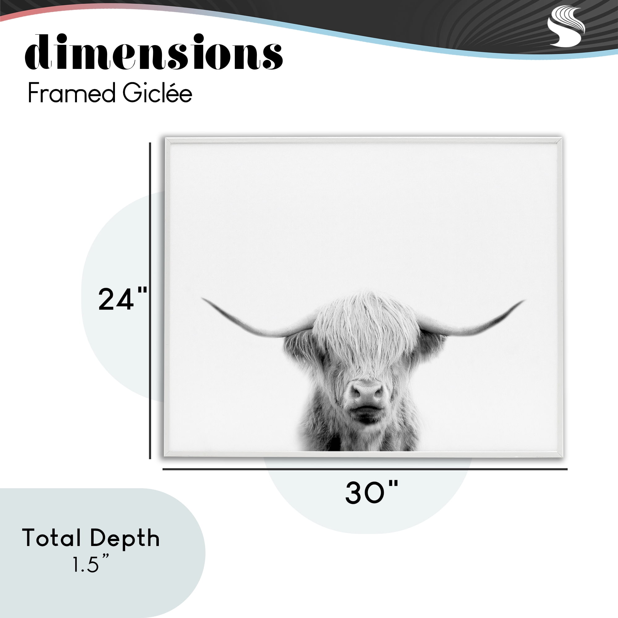 Stupell Industries Scottish Cow Portrait White Framed Giclee Art, design by Leah Straatsma