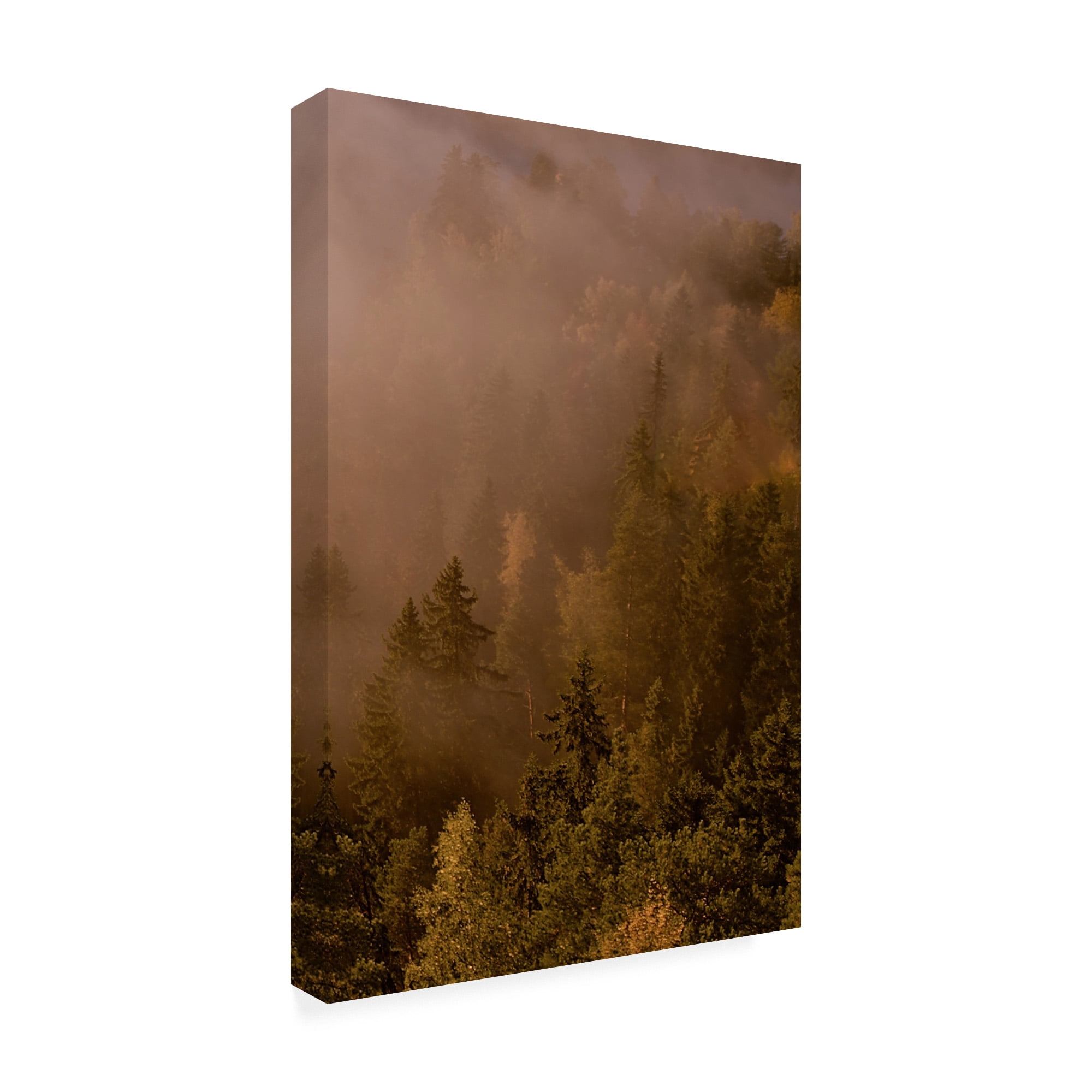 Trademark Fine Art 'Autumn Forest Green' Canvas Art by PhotoINC Studio