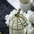 thumbnail image 2 of AMERTEER Clearance European Small Plant Bird Cage Iron Frame Succulent Flowerpot Set Room Decoration, 2 of 10