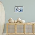 thumbnail image 4 of Stupell Industries Traditional Traditional Mollusk View Black Framed Giclee Art, 18 x 12, by Petals Prints Design, 4 of 9