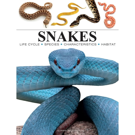 Mini Encyclopedias Snakes, (Paperback)