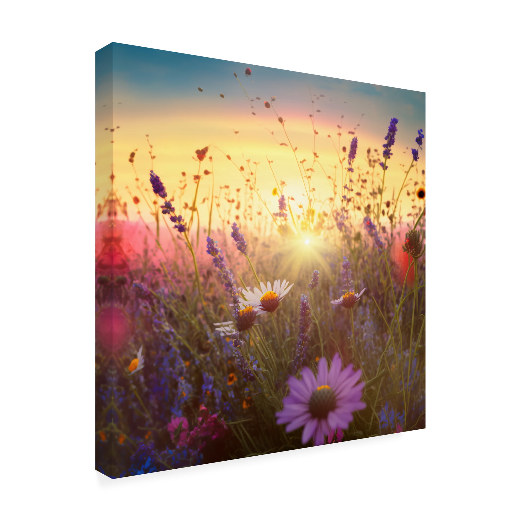 Canvas Wall Art - Ray Heere 'Flowering Fields 7' Wall Art for Living Room, Bedroom, or Office Décor by Trademark Fine Art - 24 x 24 Inches