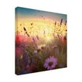 thumbnail image 4 of Canvas Wall Art - Ray Heere 'Flowering Fields 7' Wall Art for Living Room, Bedroom, or Office Décor by Trademark Fine Art - 24 x 24 Inches, 4 of 4
