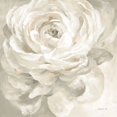 thumbnail image 2 of Nai, Danhui 12x12 Black Ornate Wood Framed with Double Matting Museum Art Print Titled - White Rose Gray, 2 of 4