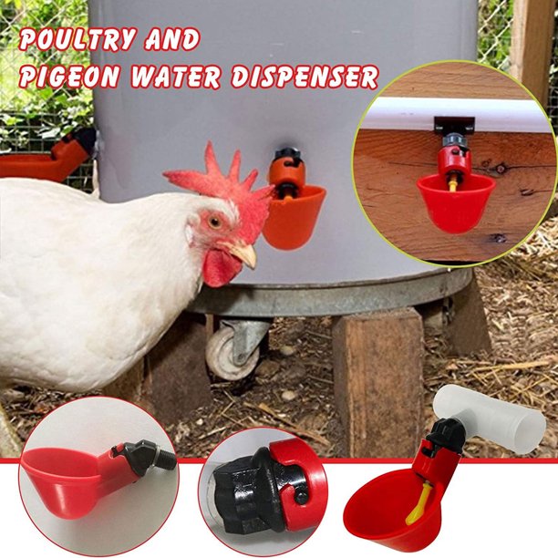 Automatic Chicken Water Dispenser Poultry Cup Water Dispenser