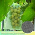 thumbnail image 5 of 50 Piezas Bolsa Protectora De Uvas, 30x20cm, Bolsas De Organza, Bolsa Protectora De Frutas, Red Contra Insectos, Protección Y Control De Plagas Para Jardín (verde) (hy), 5 of 5