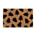 thumbnail image 2 of BJUTIR Doormat In Home Christmas Floral Welcome Cane Christmas Tree Light String Deer Door Mat Floor Mat, 2 of 4