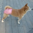 thumbnail image 5 of Washable Reusable Female Dog Diapers, Medium Large Small Dog Doggie Puppy & Doggy Diapers Female, Period Panties in Heat, 5 of 9