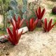 thumbnail image 4 of Metal Tequila Country Sculpture DIY Tequila Plant Home Decor Country Tequila Garden Ornament Indooutdoor Statuette 55CM, 4 of 5