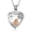 Rose Gold, variant on Pet Ashes Necklace for Dog Engravable Pet Cremation Urn Necklace for Ashes Cremation Necklace for Pet Ashes Stainless Steel Ash Necklace Memorial Ash Holder