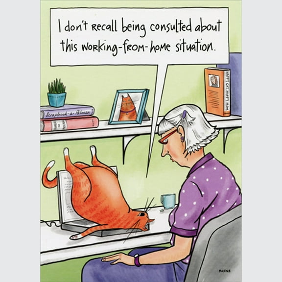 Oatmeal Studios Cat on Laptop: Consulted About Working from Home Funny / Humorous Birthday Card