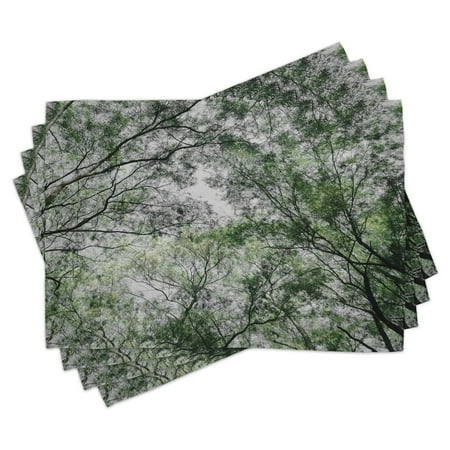 

Nature Placemats Set of 4 Tree Branch in Spring Season Fairy Jungle Growth Nature Look Up Wood Scene Photo Print Washable Fabric Place Mats for Dining Room Kitchen Table Decor Green by Ambesonne
