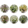 thumbnail image 4 of Fake Flowers Clearance! Dutch Chrysanthemum Simulation Small Daisy Wedding Home Photography Decoration Props Decoration Simulation Flower, 4 of 9