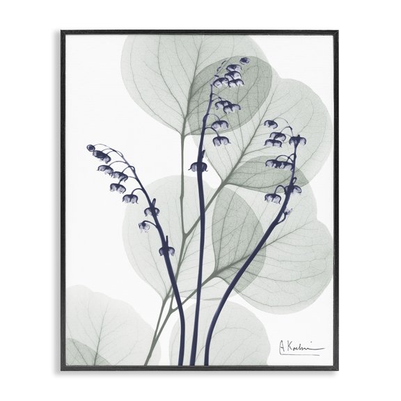 Stupell Industries Contemporary Serene Modern Eucalyptus Black Framed Giclee Art, 11 x 14, by Albert Koetsier
