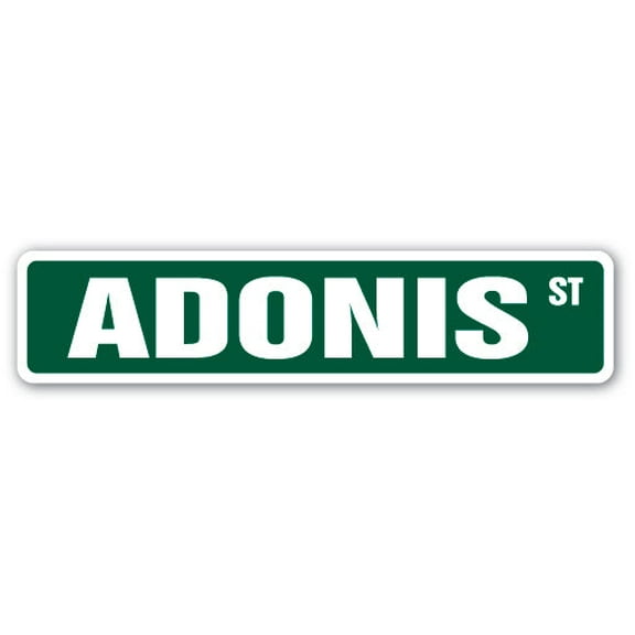 ADONIS Street Sign Childrens Name Room Sign | Indoor/Outdoor |  36" Wide
