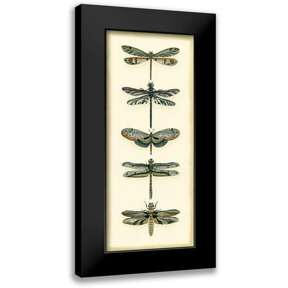 Zarris, Chariklia 8x14 Black Modern Framed Museum Art Print Titled - Small Dragonfly Collector II