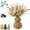 B, variant on Boho Wicker Vase Gourd Shaped, Farmhouse Table Centerpiece | Natural willow desktop vase enhances bookshelf or entryway style. Durable woven design wont break. Best for dry floral stems