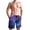 Blue Planet in Space, variant on Dailycode Men's Quick Dry Swim Trunks Beach Shorts Casual Summer Board Shorts with Pockets, Tree on Lakeside