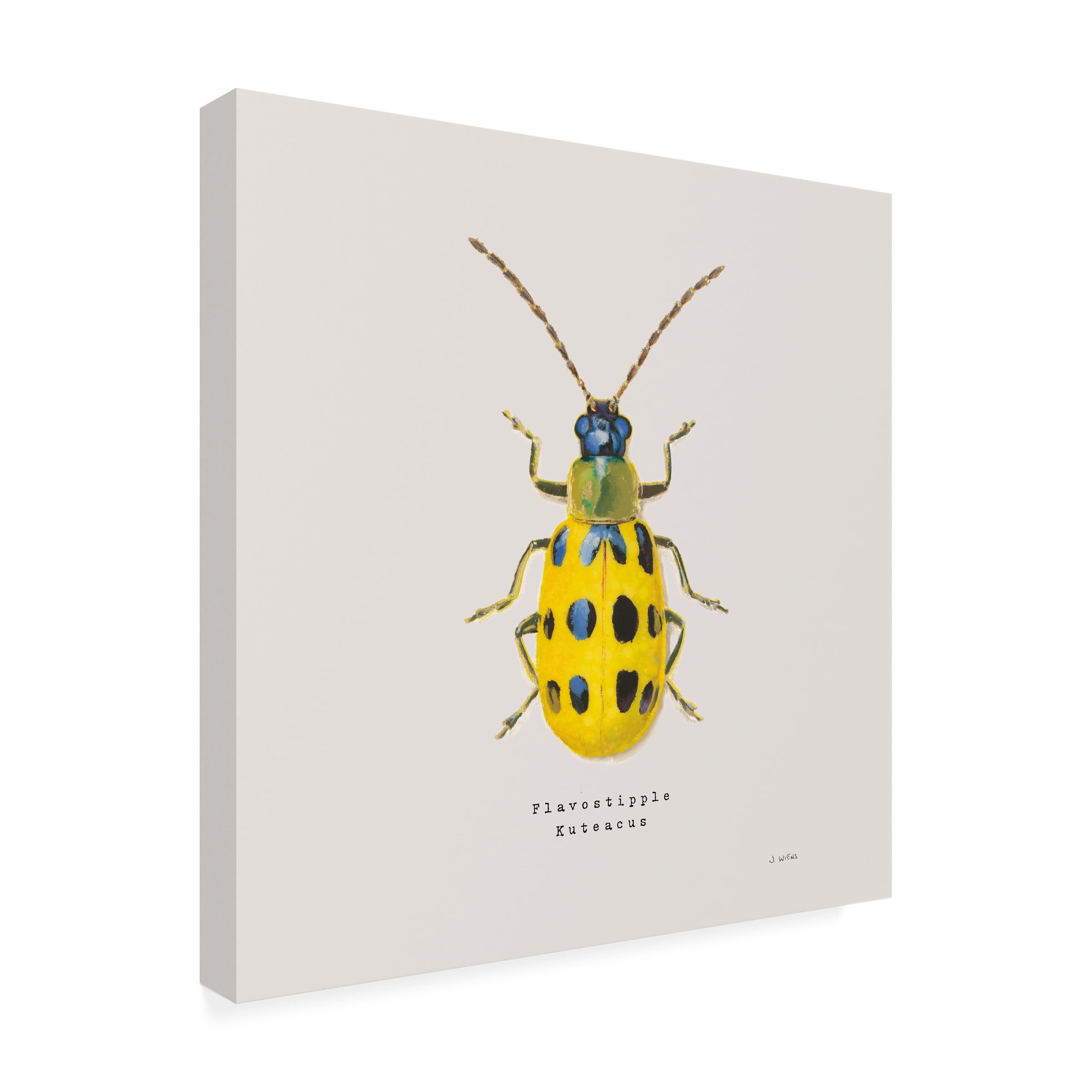 Trademark Fine Art 'Adorning Coleoptera VII Sq Golden' Canvas Art by James Wiens