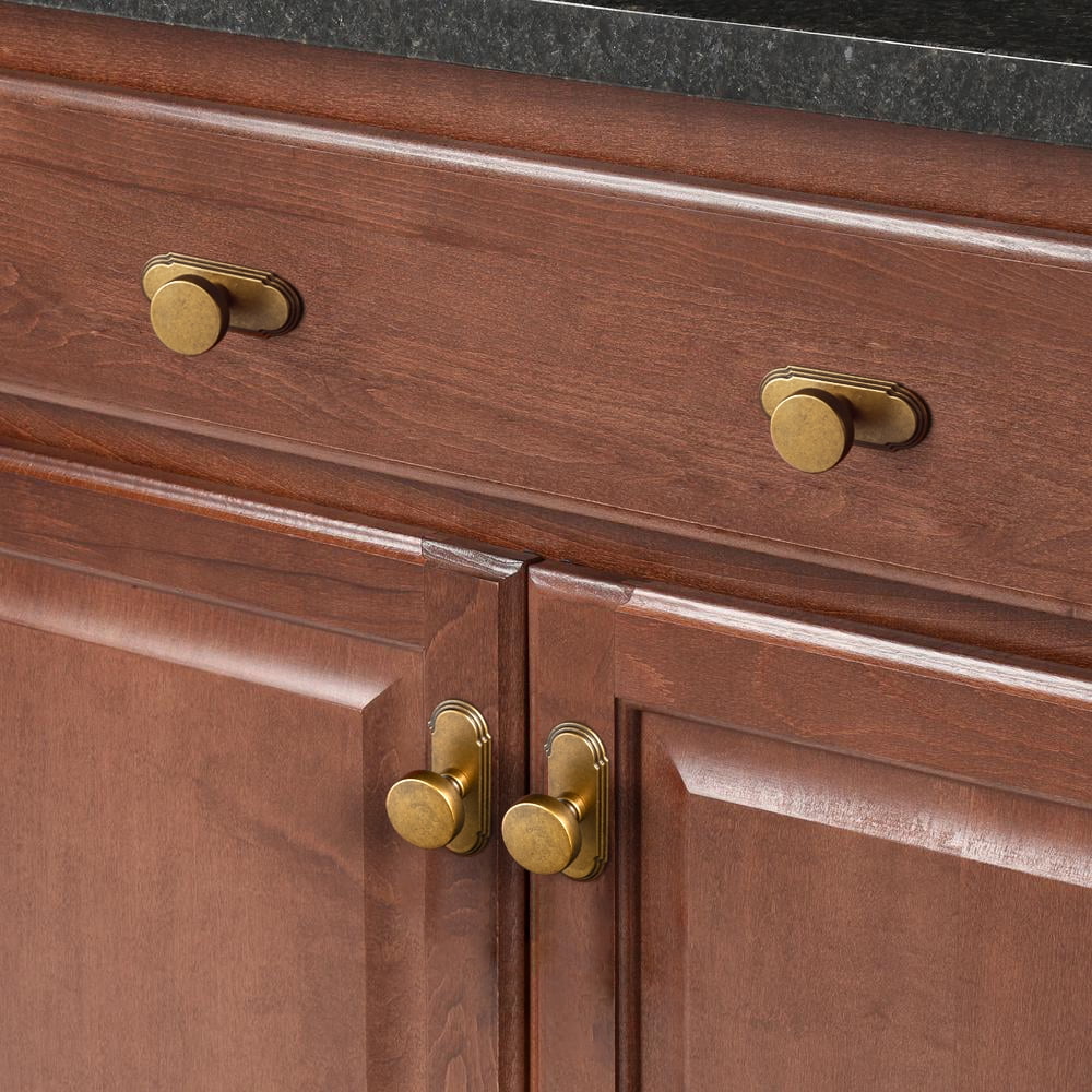 Goo-Ki Antique Brass Cabinet Drawer Knobs with Backplate, Single Hole Zinc Alloy Cabinet Handles Kitchen Hardware for,Dresser,Cupboard,Wardrobe, 6 Pack