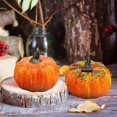 thumbnail image 3 of CNKOO 37 Pcs Simulation Pumpkin Model Halloween Decor Pumpkin Decor Miniture Decoration Halloween Mini Ornament, 3 of 10