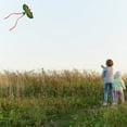 thumbnail image 4 of Flying 3D Cartoon Parrot Kite Children Outdoor Kids Toy Fun Activity Game Gift, 4 of 7
